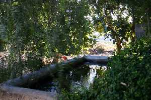 Lavadero Fuente del Chorrillo 