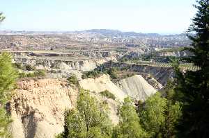 Paisaje de Gebas 