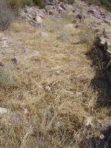 Caminos entre viviendas de La Bastida [La Bastida de Totana]