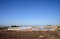 Vista de Invernaderos de Claveles 