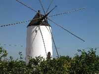 Molino en el Campo 