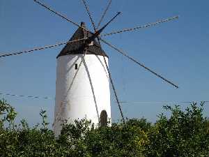 Molino en el Campo 