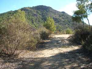 Senda de La Bastida de Totana 