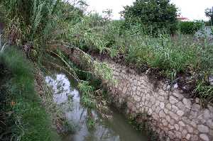 Acequia 