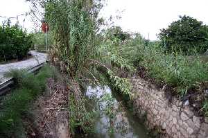 Acequia [Nonduermas]