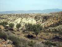 Cerro de La Almagra