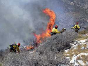 Extincin de incendio en matorral