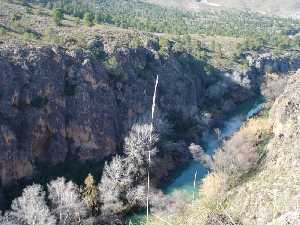 Naturaleza en el Can de los Almadenes 