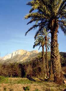 Cumbres blancas, en Mazarrn