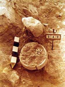 Excavacin de la Tumba 142