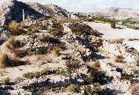 Santuario del Cigarralejo