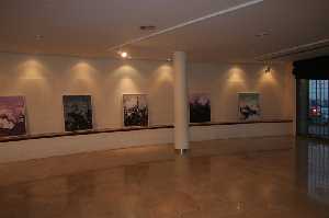 Exposici�n temporal del Museo de Siy�sa 