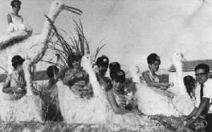 Reina y Damas de las Fiestas de las Torres de Cotillas 