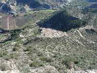 Poblado visto desde la alcazaba 