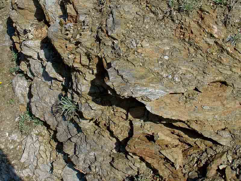 Esquistos de la sierra de la Torrecilla (Puerto Lumbreras). Antonio del Ramo