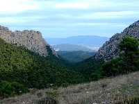 Barranco de Leyva se ha adaptado a un sinclinal en calizas jurasicas del Malaguide de Sierra Espuña.  