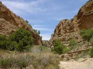 Cabecera del Río Chícamo