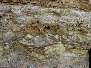 Yeso lacustre messiniense con nódulos de azufre. Cuenca de Salmerón-Las Minas (Moratalla)  