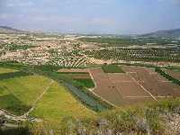 Panormica del valle arrocero del ro Segura. Hace unos 10 Ma. esta depresin (sinclinal de Calasparra) estaba cubierta por el mar. Actualmente sus depsitos margosos se pueden ver al fondo