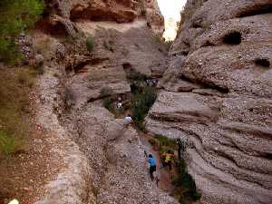 El ro Chcamo secciona los conglomerados de un delta de hace 10 millones de aos. Este  bello y angosto desfiladero, siempre con agua,  permite relajarse y disfrutar con la geologa murcia [GEOLOGA]