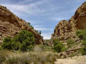 Salida del desfiladero del ro Chcamo en las proximidades de la Umbra. Obsrvese la potencia de los depsitos conglomerticos del abanico deltaico