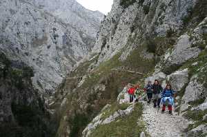 Camino de Bulnes 3 - Picos de Europa 2006-12-29