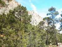Pared de Leyva en Sierra Espu�a
