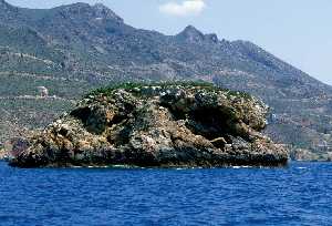 Isla de Cueva de Lobos (Bolnuevo)