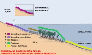 Figura 2. Distribucin aproximada de las unidades paisajsticas consideradas en fondos blandos [Litoral Sumergido]