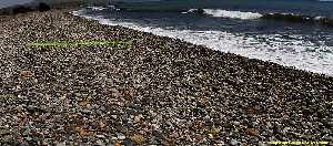 Figura 3. Aspecto de la comunidad en una playa de cantos sin arribazones en puntas de Calnegre 