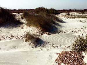 Pasarela sobre dunas en la Playa de la Torre Derribada