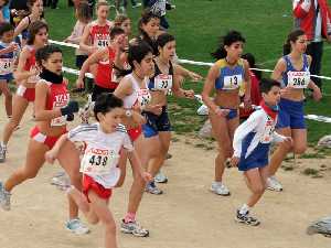 Campeonato Regional de Cross