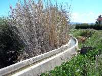 Acequia frente a AAVV 