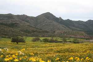 Sierra de la fausilla1  (Cartagena) 2007_04_01