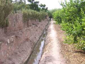 Huerta de Guadalupe