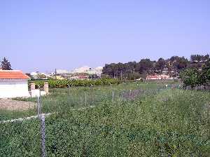 Vista de los huertos de la zona