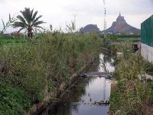 Merancho y Monteagudo al fondo