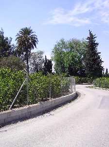 Calles de la zona de huerta