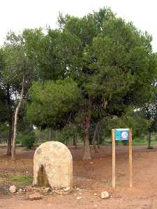 Paraje de los Cuadros