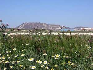 Cerro cercano a Ychar 