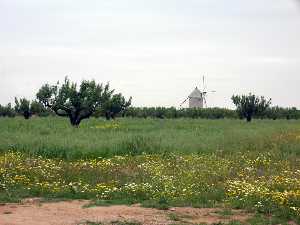 Molino Zabala en Cuesta Blanca