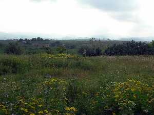 Paisaje en San Isidro