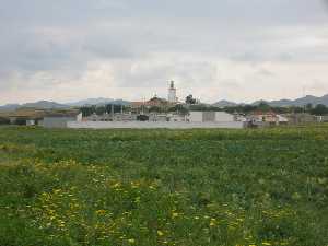 Campo de Brocoli en San Isidro