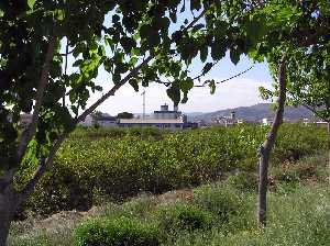 Vista de Alqueras desde la vereda del ro