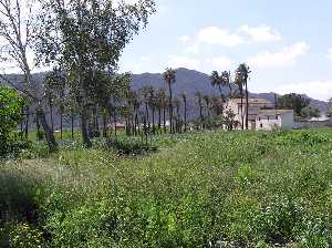 Casas en la Huerta