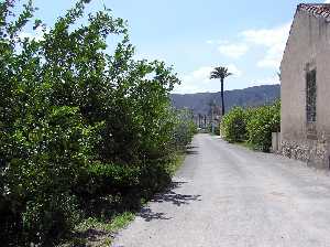 Vereda de Almodovar