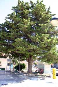 Plaza de la ermita