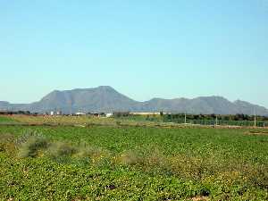 Cabezo de Roldn desde Miranda