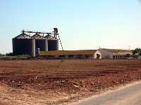 Granja avcola