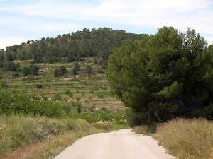 Acceso a Fuente la Higuera